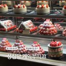 대종로 | 대전 성심당 딸기시루 평일 오후 웨이팅 후기 【성심당 케익부띠끄】