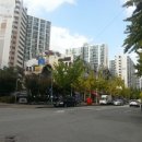 대지당구장 이미지