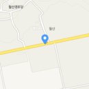 산동면 월산마을 네이버블로그
