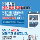 수디자인 이미지