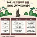 2023년 설날을 맞이해 열리는 전통 문화체험을 소개할게요 이미지