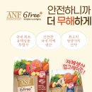 조이독 | 조이의 ANF 6Free 인도어 독 반려견 사료 후기!