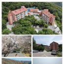 자연나무병원 이미지