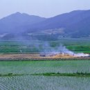 예산읍018 이미지