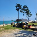 (주)사동개발 | 여름백패킹 바다편(강릉연곡해변, 울릉도통구미항, 강릉순긋해변, 고성삼포해변)