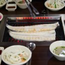 힘쎈민물장어 이미지