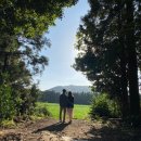 세븐일레븐 해안도로점 이미지