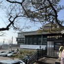 신샘밭로 L | 춘천 닭갈비 맛집, 웨이팅 후기┃춘천통나무집닭갈비 본점