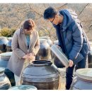 맹골사랑 이미지