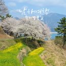 왕지로타리 | 남해 왕지벚꽃길 드라이브 코스 벚꽃과 유채꽃 바다까지 완벽한 봄 여행