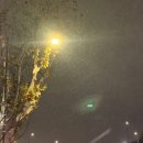 신흥어울마당작은도서관 | 일상기록. 크리스마스를 기다리며