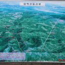 감골약국 이미지