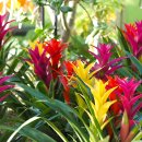 안산 식물원 이미지