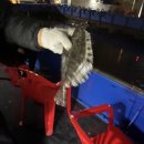 용인실내바다낚시터 이미지