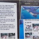 백길해수욕장 네이버블로그