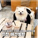 구조라타운 | 인천 차이나타운 신상 애견동반 카페 더프커피웍스