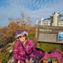 송지송호초교 이미지