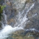 고사리 임도를 따라 이미지