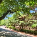 행복한숲 Happy forest 이미지