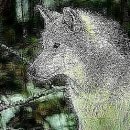 (주)일진트레이딩 이미지