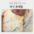 푸푸 네이버블로그