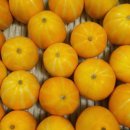 성원농장 이미지