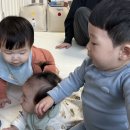 순대에반하다 - 성남시 중원구 광명로 360 | 순대에반하다