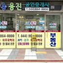 도램마을11단지앞 이미지