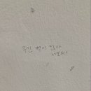 하이라이트씬 이미지