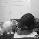 와줘서 고마워요 이미지