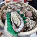 팔도굴수산