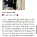 N 피티짐 이미지