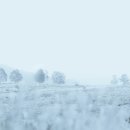 이동원한의원 | 한의학을 잘하는 방법