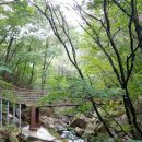 연산사거리 벌곡 방면 이미지