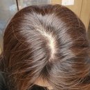 낭주농협도포주유소 | [다사미용실 헤어하나] 꼼꼼하게 염색잘하는 다사헤어 서재미용실