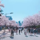 국립부경대학교 이미지