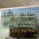 포 리코 Pho rico | [서울 종로] 배화여대 근처 깔끔한 쌀국수 맛집, 퍼리코 서촌