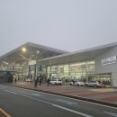 탐라도니 이미지