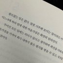 그린테리아1 이미지