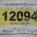 2010 달서웃는얼굴 마라톤대회(10km) 이미지