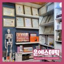은에스테틱 티스토리