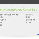 삼성 그린푸드 네이버블로그