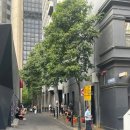 바바배커피 | 호주오픈 그라운드패스🎾 파트리샤 커피랑 헥터스 델리까지〰️☕️🥪