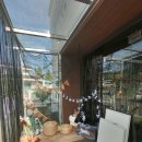 멍떼루와 이미지