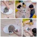 안서초등학교 병설유치원 이미지