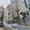 세진종합시설관리