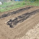 미니관리기로 만든 가을 청갓/적갓 텃밭 이미지