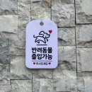 영등포시장역 온앤오프24 나나빈카페 디져트 핫도그 맛집 애견동반 플리마켓