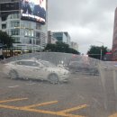 강남골 - 강남구 논현동 | 강남골