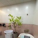 개운한(대전점) 이미지